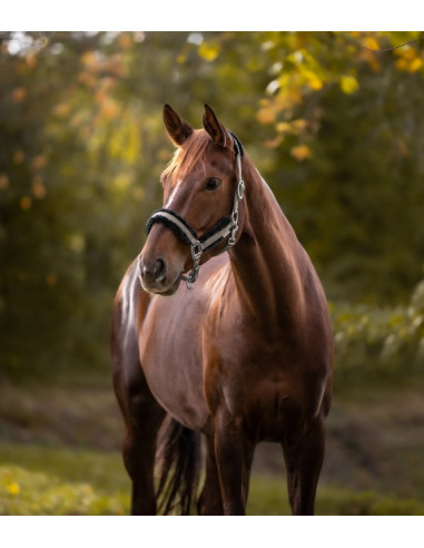 Waldhausen Pegasus Grimma Med Fluff...