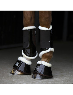 SD Design Hollywood... 2