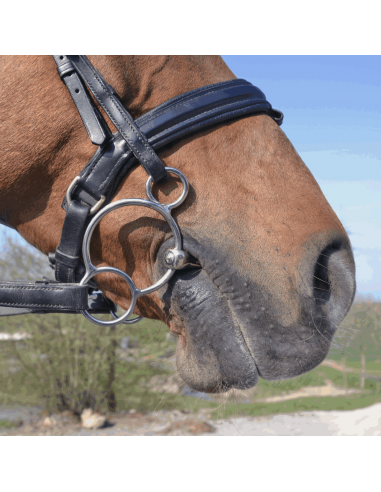 HS Sprenger Dynamic 3-delat Vienna 14mm