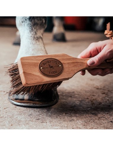 Borstiq Islänningen Bassine