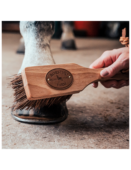 Borstiq Islänningen Bassine