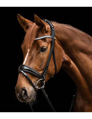 Waldhausen S-Line Magic Träns Svart Full