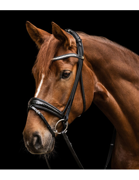 Waldhausen S-Line Magic Träns Svart Full