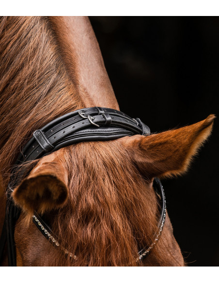 Waldhausen S-Line Magic Träns Svart Full