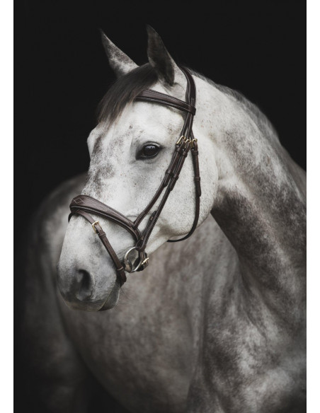 Lippo Träns Supreme Fancy Mörkbrun