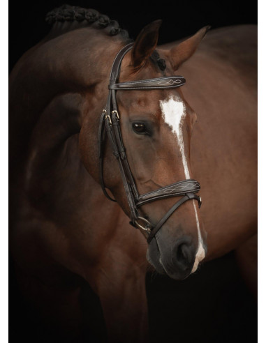 Lippo Träns Supreme Fancy Mörkbrun