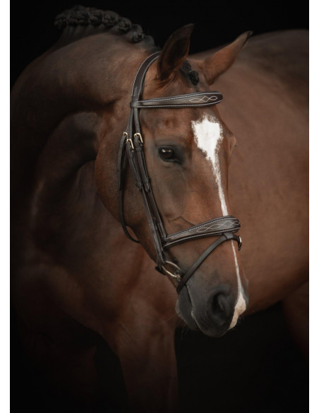 Lippo Träns Supreme Fancy Mörkbrun