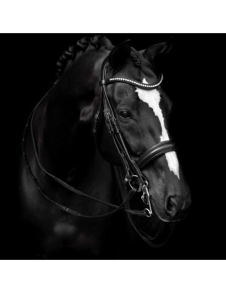 Lippo Supreme Delicato Kandar Svart Full