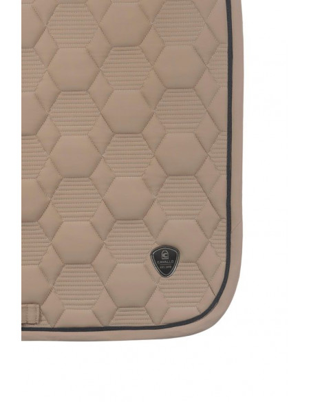 Cavallo Cavalpino Hoppschabrak Biscuit Full