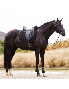 Imperial Riding... 2