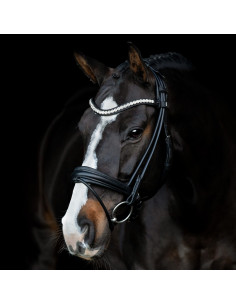 SD Design Duke de Niro ll... 2