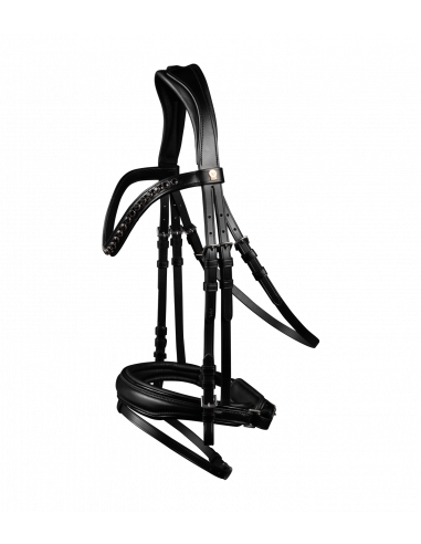 Waldhausen S-Line Blackshine Träns Svart