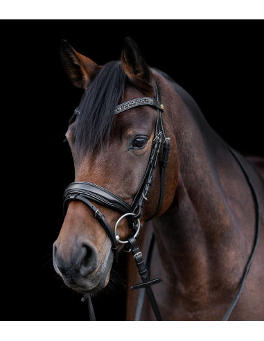 Waldhausen S-Line Blackshine Träns Svart