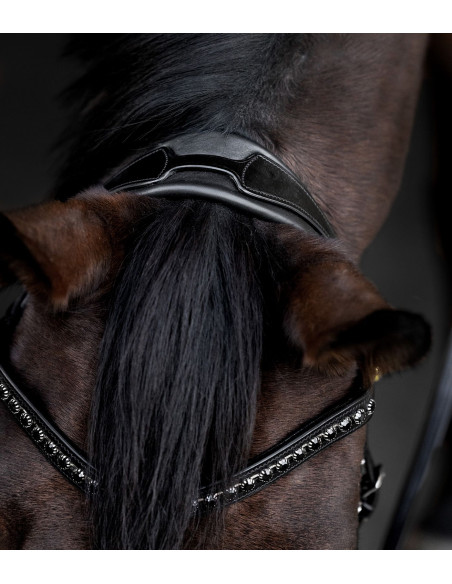 Waldhausen S-Line Blackshine Träns Svart