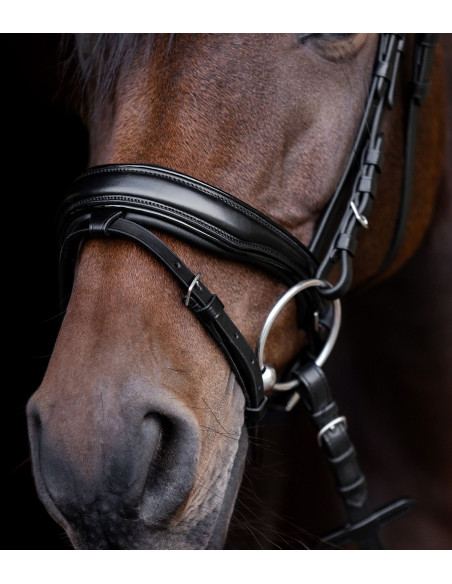 Waldhausen S-Line Blackshine Träns Svart