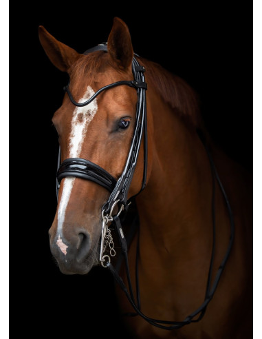 Utzon Equestrian Edinburgh Kandar Svart/Lack/Silver Full