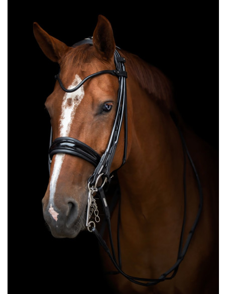 Utzon Equestrian Edinburgh Kandar Svart/Lack/Silver Full