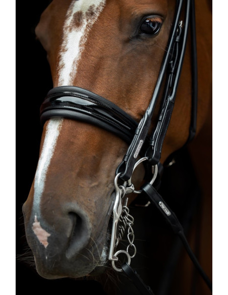 Utzon Equestrian Edinburgh Kandar Svart/Lack/Silver Full