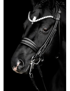 Utzon Equestrian Edinburgh Kandar Crystal Edition Svart/Lack/Silver Full