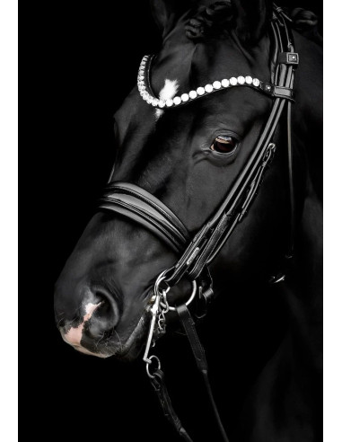 Utzon Equestrian Edinburgh Kandar Crystal Edition Svart/Lack/Silver Full
