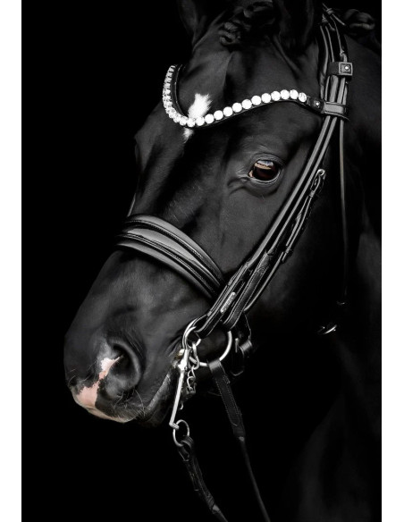 Utzon Equestrian Edinburgh Kandar Crystal Edition Svart/Lack/Silver Full