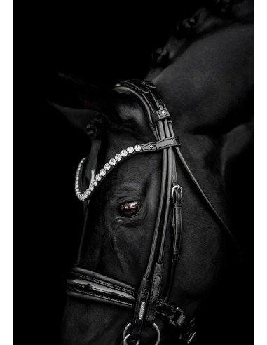Utzon Equestrian Edinburgh Kandar Crystal Edition Svart/Lack/Silver Full