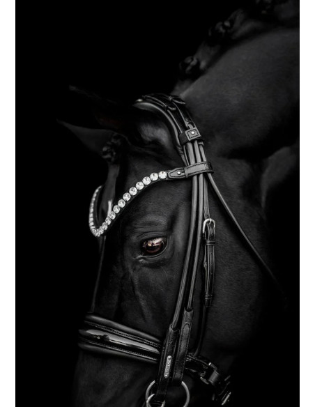 Utzon Equestrian Edinburgh Kandar Crystal Edition Svart/Lack/Silver Full