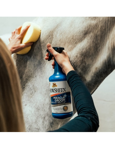 Absorbine Miracle Groom 950ml