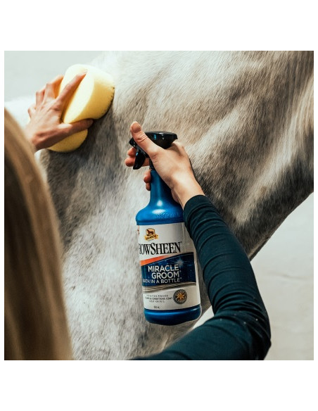 Absorbine Miracle Groom 950ml