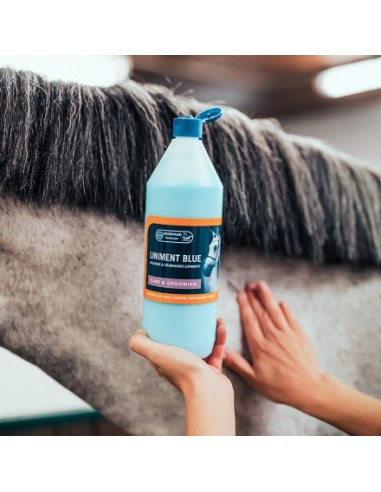 Eclipse Biofarmab Liniment Blue 1L