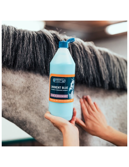 Eclipse Biofarmab Liniment Blue 1L