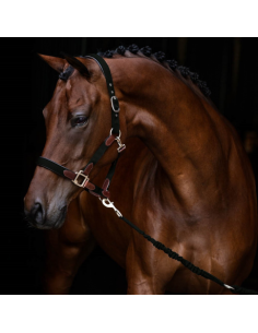 HS Enigma Grimma Svart