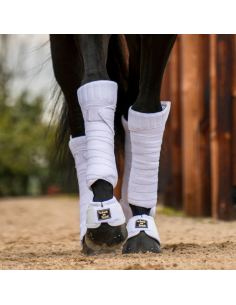 Back On Track Scandic PK... 2