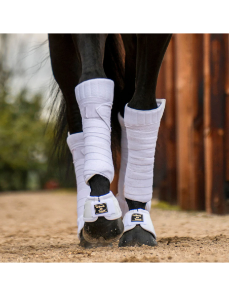 Back On Track Scandic PK Padd Vit