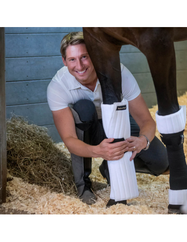 Back On Track Scandic PK Padd Vit