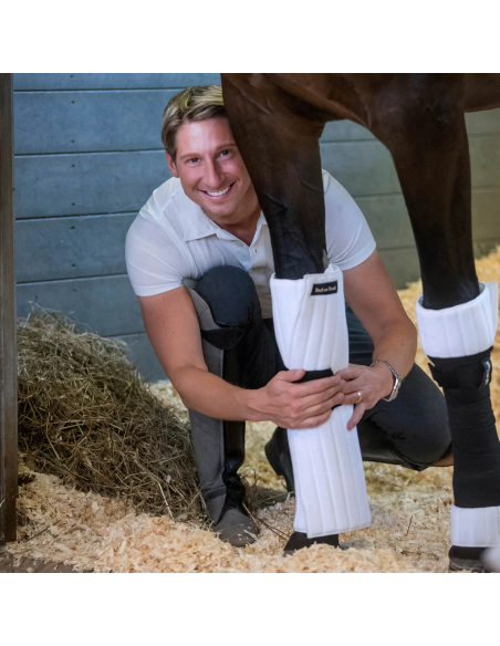 Back On Track Scandic PK Padd Vit