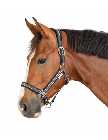 Waldhausen Athletic Grimma Asphalt/Black