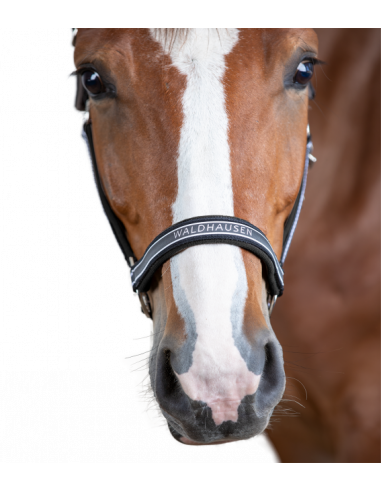 Waldhausen Athletic Grimma Asphalt/Black