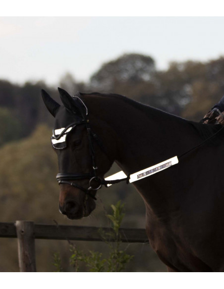 Waldhausen Reflex till Tyglar Silver