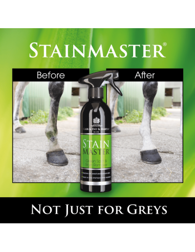 Carr & Day & Martin Stainmaster Spray...